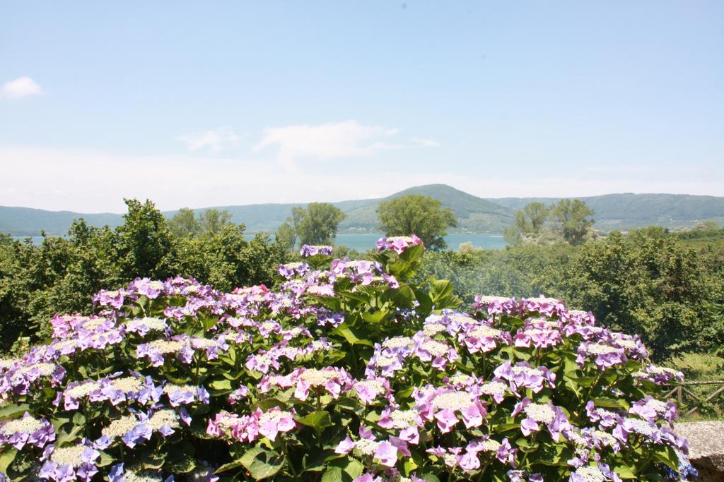 La Finestra Sul Lago Ronciglione  Exterior foto