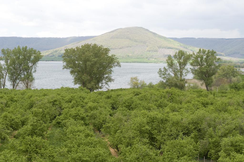 La Finestra Sul Lago Ronciglione  Habitación foto