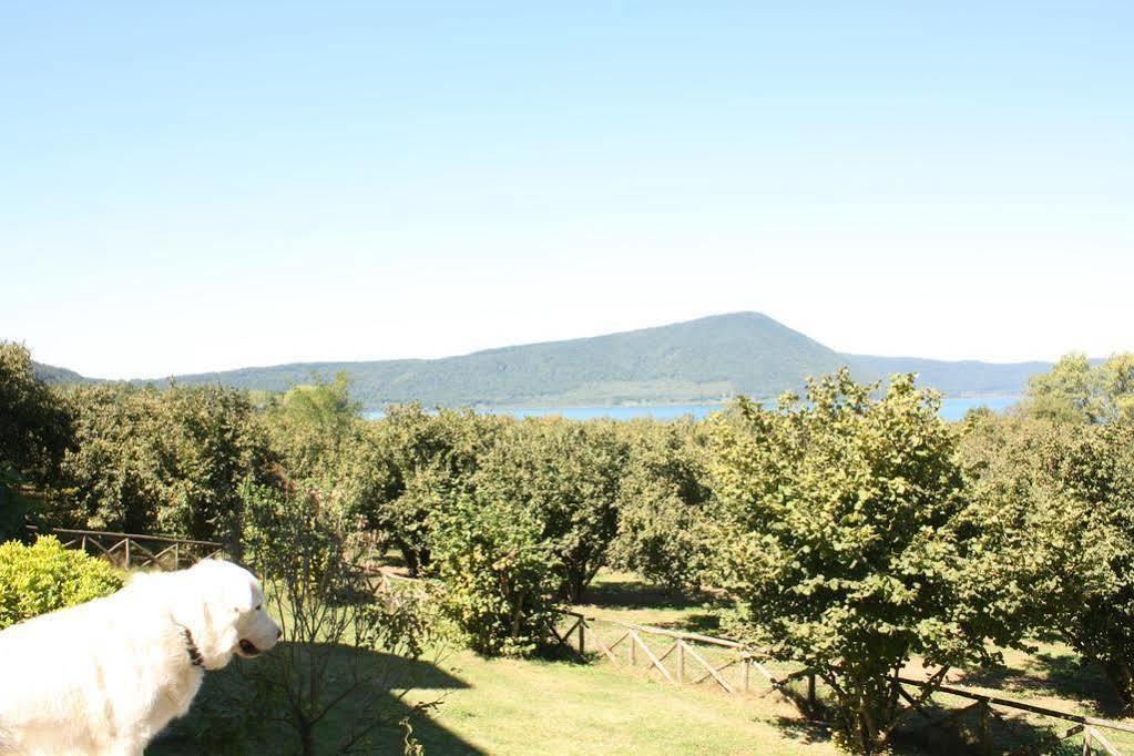 La Finestra Sul Lago Ronciglione  Exterior foto